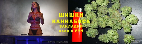 крисы Магадан