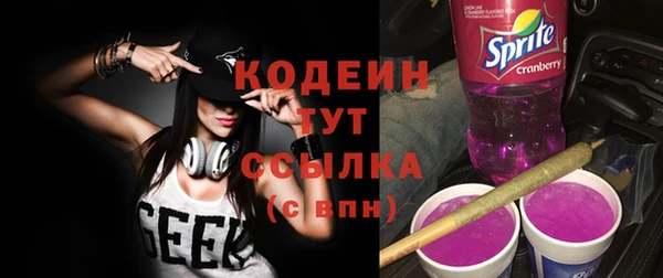 крисы Майский