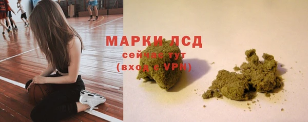 крисы Магадан