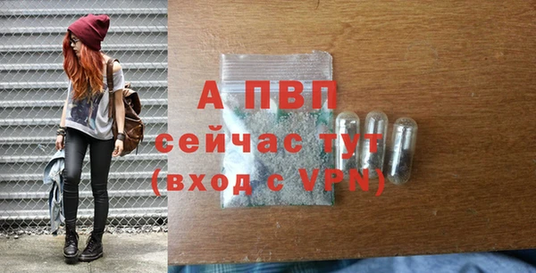 крисы Майский
