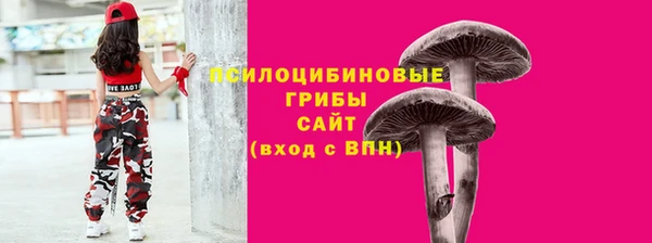 крисы Магадан