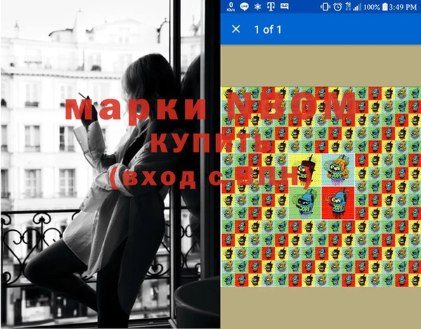 крисы Майский