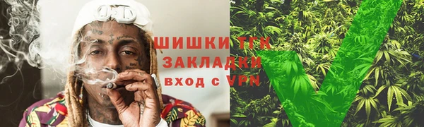 крисы Магадан
