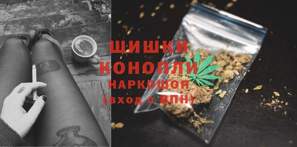 крисы Магадан