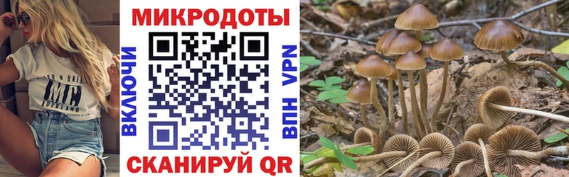 shop формула  Салават  Псилоцибиновые грибы ЛСД  купить  сайты 